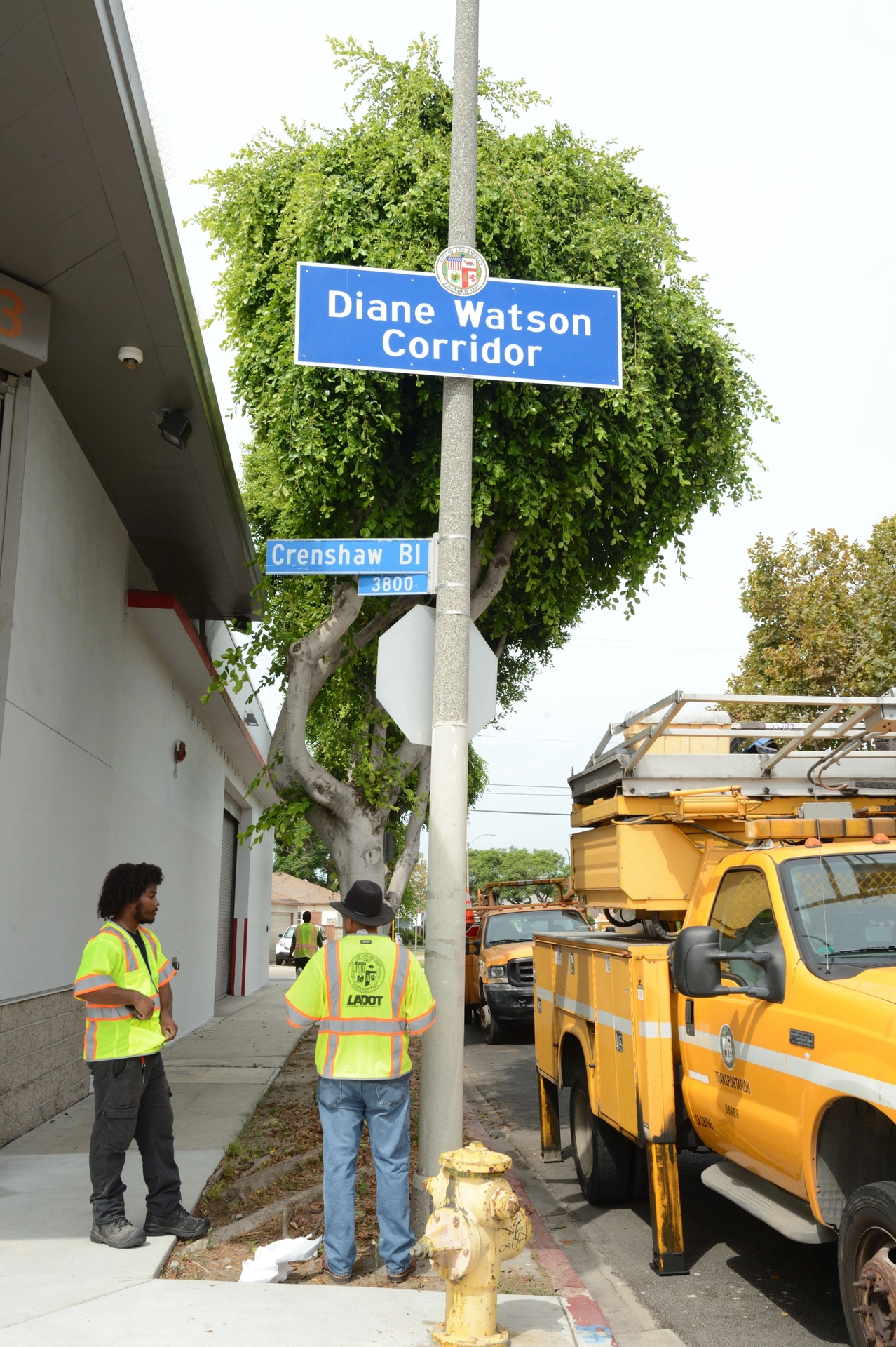 D Watson